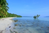 IIP Online Student Photography